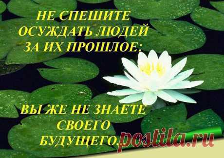 Интересные новости