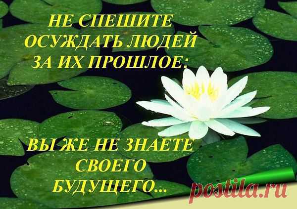 Интересные новости