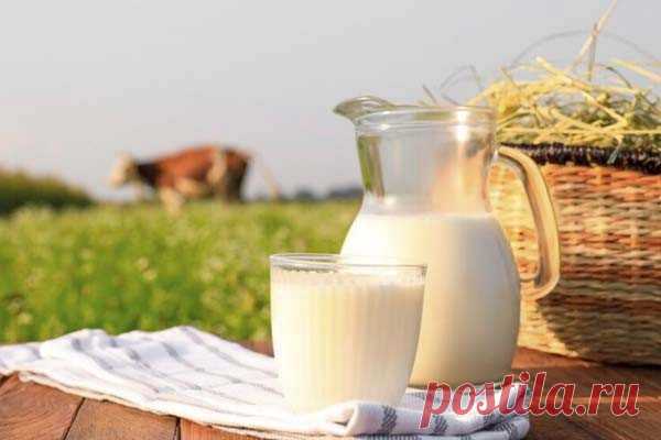 Почему не стоит отказываться от КОРОВЬЕГО МОЛОКА. Употребление соевого молока помогает снизить риск сердечно-сосудистых заболеваний, однако нет необходимости полностью переходить на растительные напитки, рассказала диетолог Елена Соломатина.По словам специалиста, коровье молоко часто провоцирует у современных людей аллергии, воспаления и...