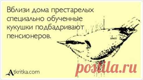 Анекдоты и фразы в картинках | Смехопанорама