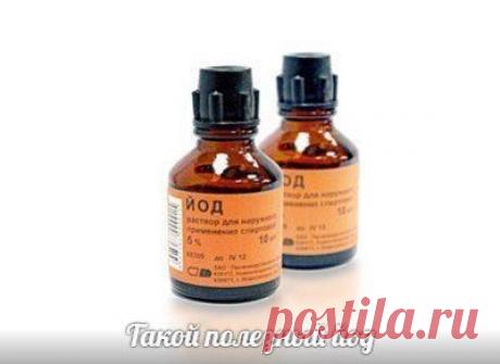 ТАКОЙ ПОЛЕЗНЫЙ ЙОД | Блог сайта Muza.Name