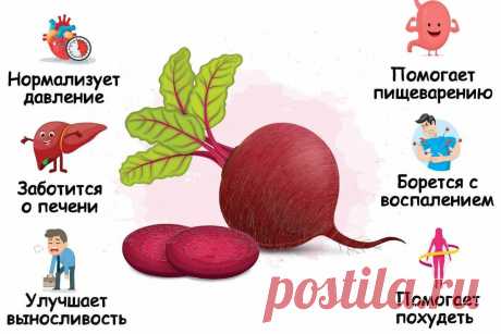 Свекла: польза, вред и как ее правильно готовить | Fresh.ru домашние рецепты | Яндекс Дзен