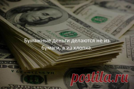 «А вы знали что...»