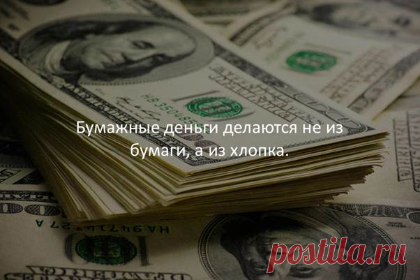 «А вы знали что...»
