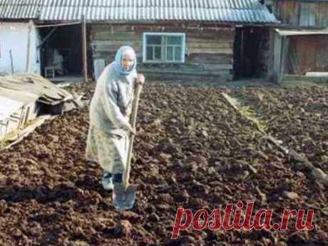 Любить по-русски: о смерти русской бабушки говорила вся Япония | KaifZona.Ru