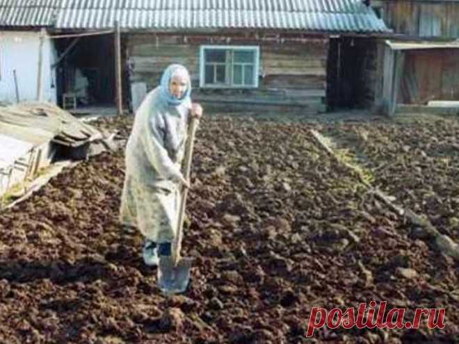 Любить по-русски: о смерти русской бабушки говорила вся Япония | KaifZona.Ru