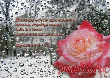 Христианские пожелания (150 открыток, стихи, цитаты) Часть 1 | ВыбиРАЙ