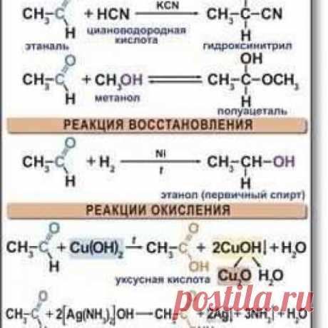 Учитель химии!