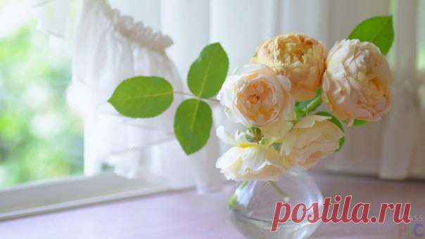 Пусть субботний день будет необыкновенно добрым!!!😘