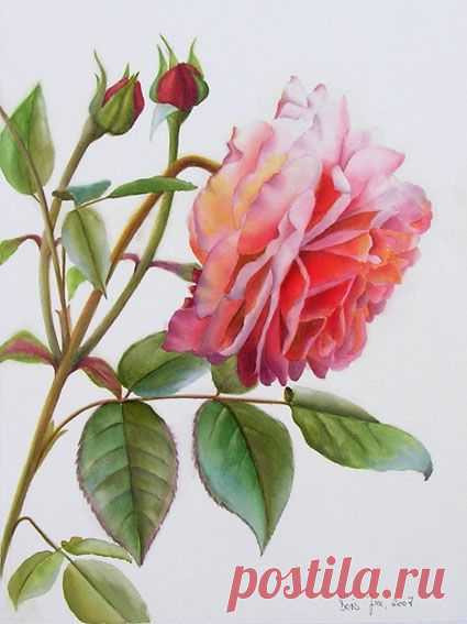 Watercolor Paintings: Roses, Flowers, Cats, Figures & Portrait