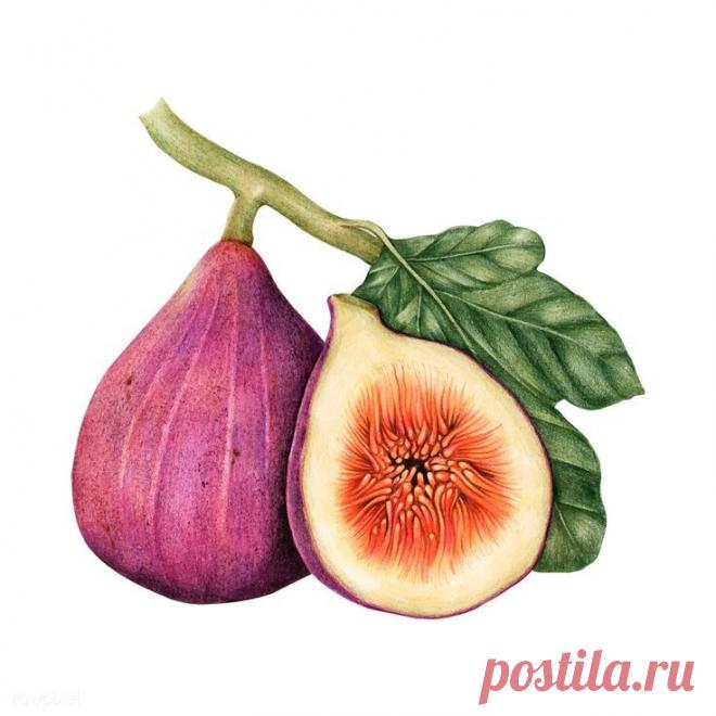 7sf0iI-q4Vc.jpg (736×736)