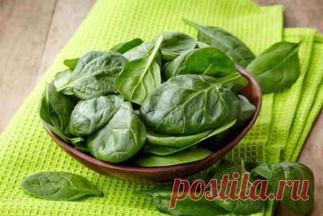 Как обычное растение помогает бороться с раком? И еще 16 полезных свойств шпината | Fresh.ru домашние рецепты | Яндекс Дзен