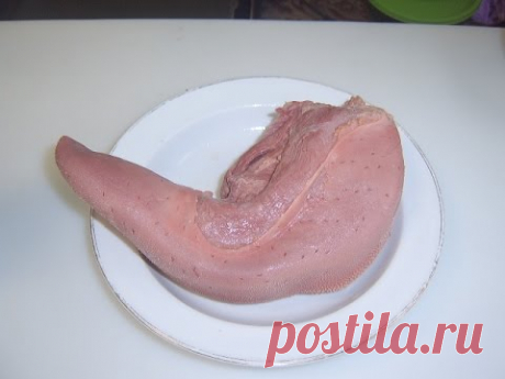 Язык