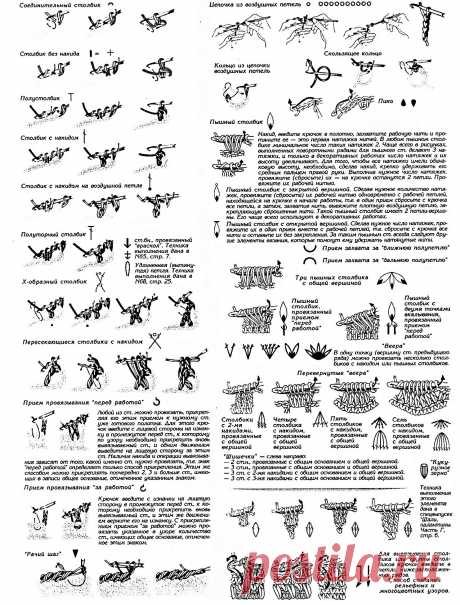 20952970.jpg (1483×1949)