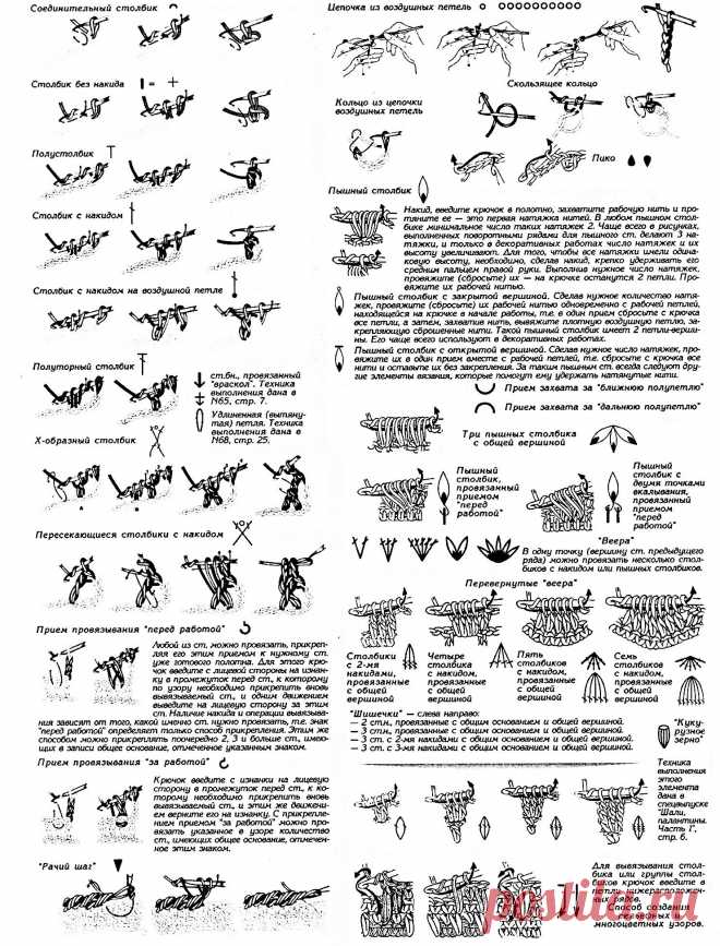 20952970.jpg (1483×1949)