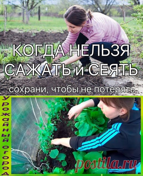 (50) Одноклассники