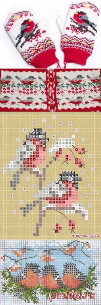 (Пин) (84) Pinterest