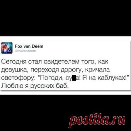 Свежие комментарии интернета / Писец - приколы интернета