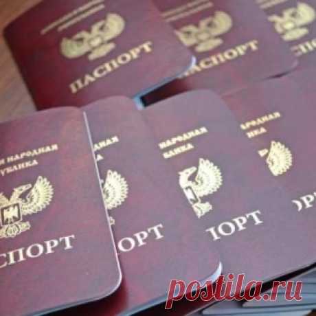 Мужчина завёл себе друга, живущего под водой… - МирТесен