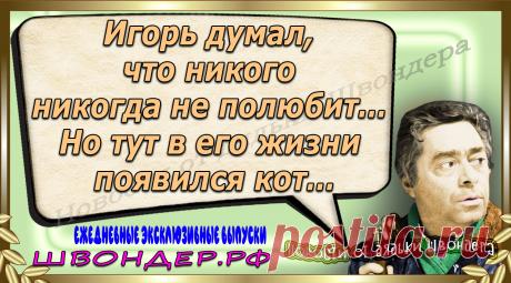 Новости от дядьки Швондера, классный анекдот, смешная фраза, веселая фенечка, каламбур, афоризмы, смех, забавные картинки, сложный юмор, непонятные анекдоты, цитаты из интернета, мэмчик, развлечение, Швондер говорит, Шариков, Собачье сердце, улыбка до ушей, веселый сайт, забава, смешарик, мем, потеха, картинка со смыслом, фарс, наколка, мемасик, шутка, юмор, анекдоты в картинках, юмор в картинках, свежие приколы, Швондер, смешная фишка, улыбка, интересное в сети, смех, швондер.рф, #швондер.рф