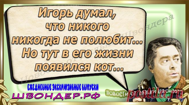 Новости от дядьки Швондера, классный анекдот, смешная фраза, веселая фенечка, каламбур, афоризмы, смех, забавные картинки, сложный юмор, непонятные анекдоты, цитаты из интернета, мэмчик, развлечение, Швондер говорит, Шариков, Собачье сердце, улыбка до ушей, веселый сайт, забава, смешарик, мем, потеха, картинка со смыслом, фарс, наколка, мемасик, шутка, юмор, анекдоты в картинках, юмор в картинках, свежие приколы, Швондер, смешная фишка, улыбка, интересное в сети, смех, швондер.рф, #швондер.рф