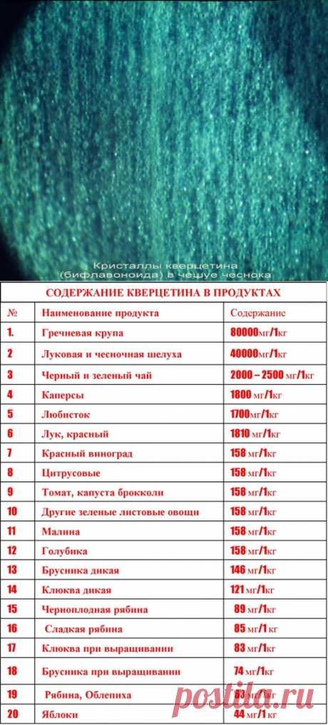 ЛУКОВАЯ ШЕЛУХА – КВЕРЦЕТИНА КЛАДЕЗЬ!