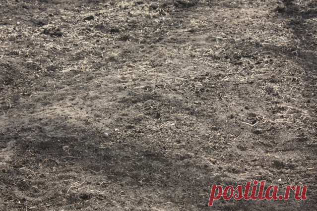 Правила обработки земли в теплице - Садоводка