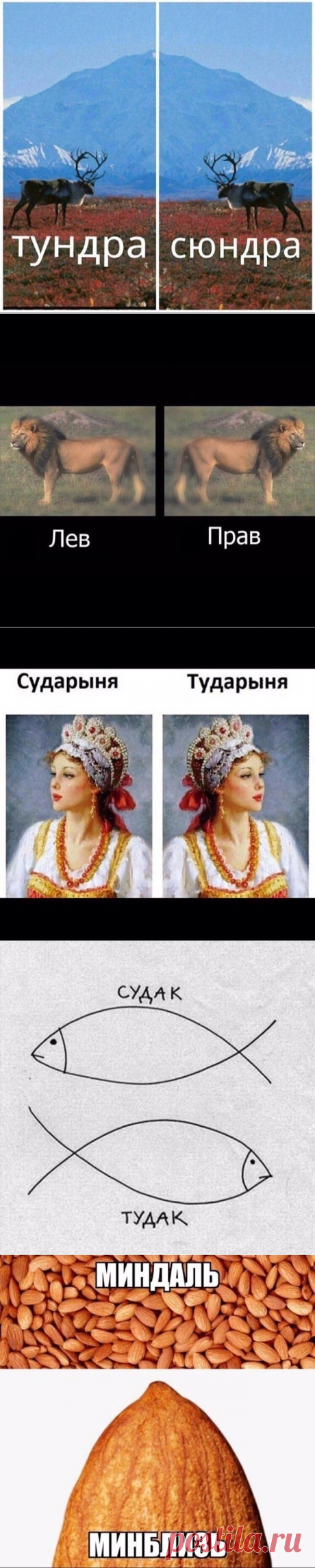 Шёл какой-то там день карантина....