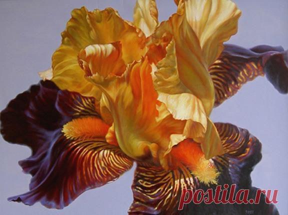 Прекрасные ирисы..