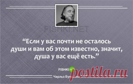 20 метких циничных цитат Чарльза Буковски
