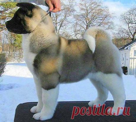 Чудо природы!!!Красота!Невероятное создание Бога!!