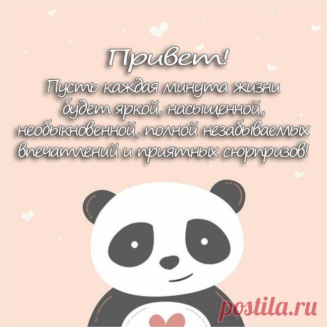 Приветик, дорогой мне человечек!