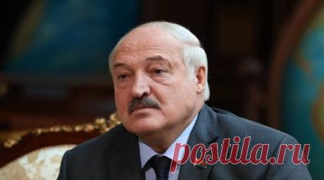 Лукашенко поручил поделиться яйцами с Россией. Президент Белоруссии Александр Лукашенко посетил в Минске магазин Витебской бройлерной птицефабрики и поручил ей поделиться куриными яйцами с Россией. Читать далее