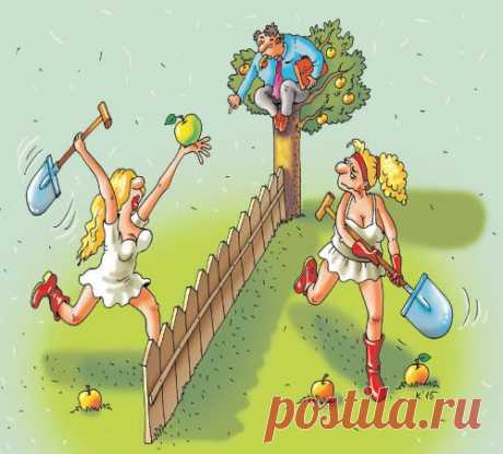 Решаем споры о заборе | Дачный участок