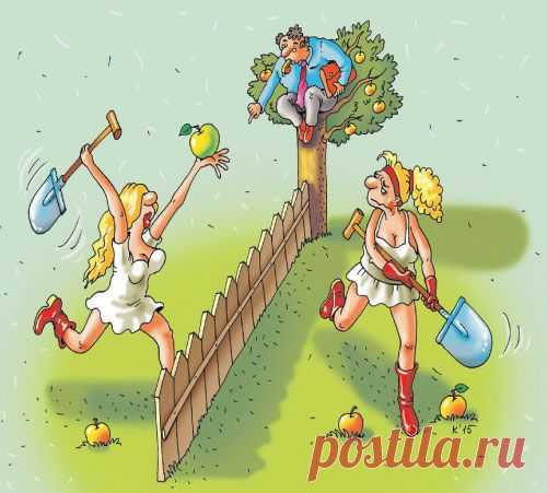 Решаем споры о заборе | Дачный участок