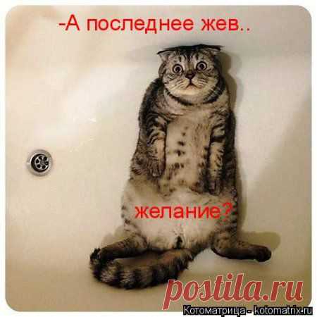 И коротко и длинно, в основном женское, наболевшее... | Приколисты
