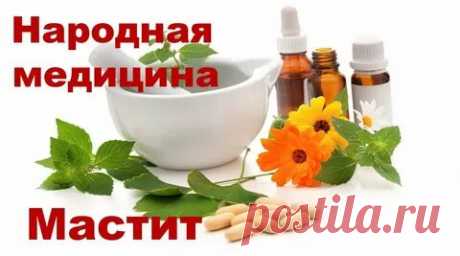 ЛЕЧЕНИЕ НАРОДНЫМИ СРЕДСТВАМИ:: 2 тыс изображений найдено в Яндекс Картинках