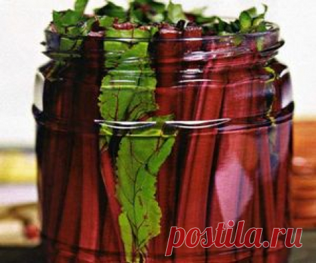 Рецепт маринованной ботвы свеклы на зиму