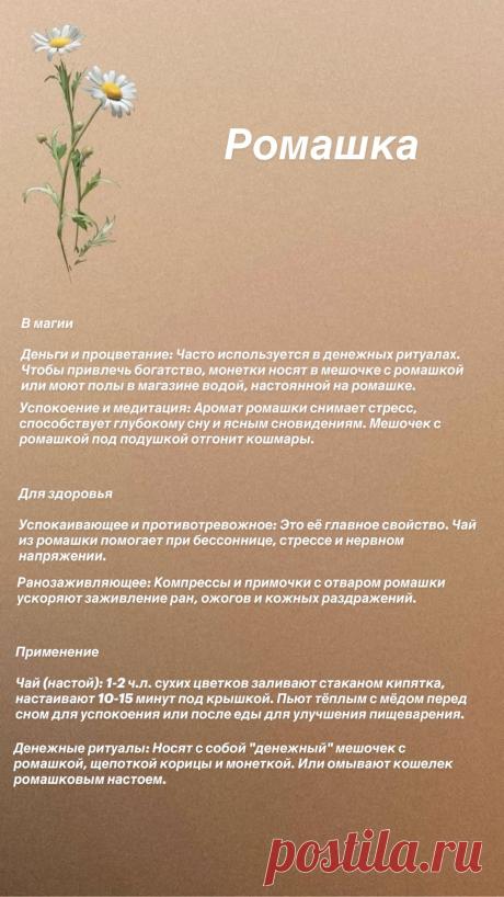 Ромашка для здоровья и в магии
