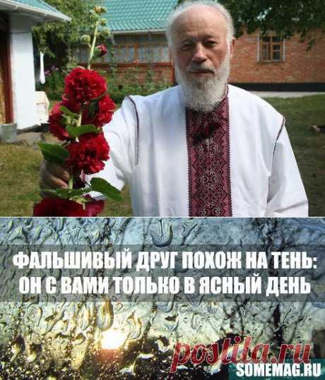 Одноклассники