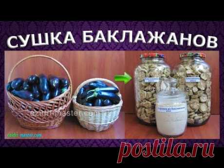 Сушка баклажанов – 15 кг. Порошок из баклажанов.