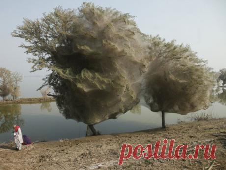 Места с самыми необычными природными явлениями — Все о туризме и отдыхе