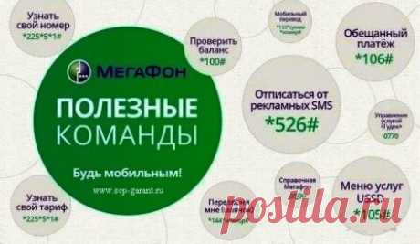USSD команды для операторов Мегафон, МТС, Билайн и Теле2 | SCP-GARANT.RU | Дзен