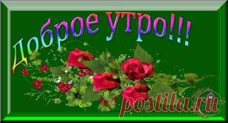 Новости
