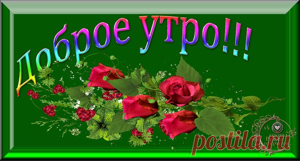 Новости