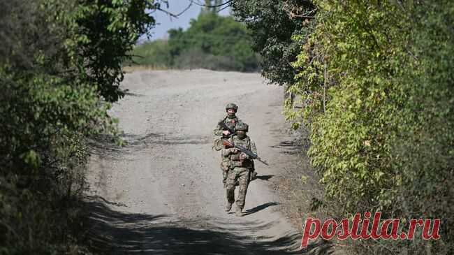 ВСУ за сутки потеряли до 170 боевиков в зоне действий "Севера"