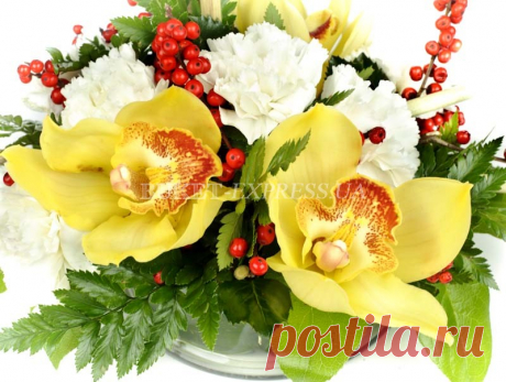 Омелия | Салоны цветов Букет-Экспресс в Киеве