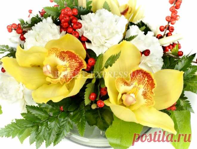 Омелия | Салоны цветов Букет-Экспресс в Киеве