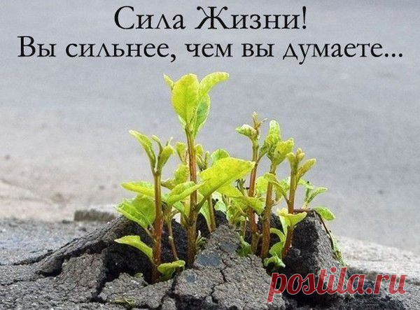 БЕСПЛАТНЫЙ КУРС!!! В чем настоящая причина проблемы "я не умею	приглашать"?

 Отчего же так не комфортно при беседе c кандидатом?

 Что и как делают успешные сетевики в отличии от необученного дистрибьютора?

 Что происходит на рынке, и как правильно определить свое место и роль на рынке? 

 Как перестать обманывать себя и что нужно сделать для этого? 

 Откуда приходят большие доходы в Сетевом Маркетинге?
 Как превратить свои желания в знания  и в доход?