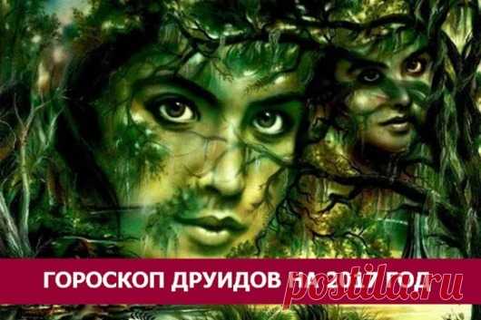 Предсказания от Друидов на 2017 год